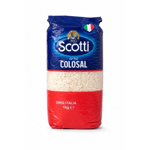 SCOTTI COLOSAL                                                                                      
